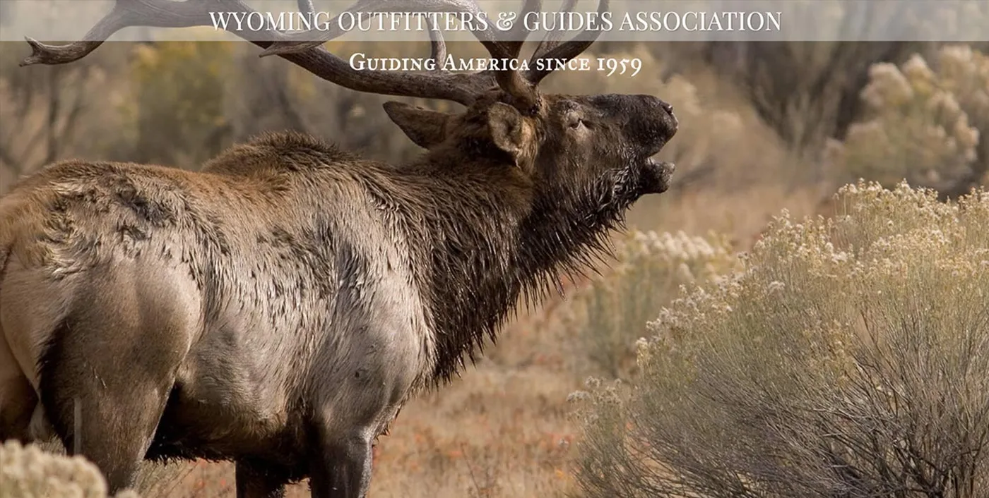 Wyoming Outfitters & Guides Association