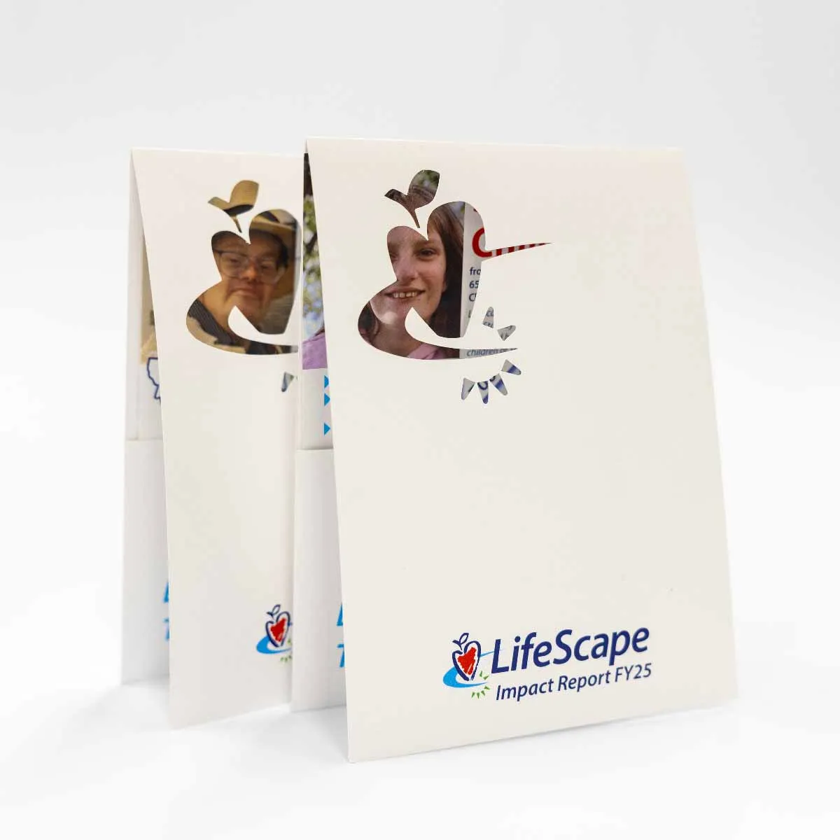 Two standing folded brochures with a cutout of an apple and pencil shape on the front, showing partially visible photos of smiling people behind the cutouts. The bottom right corner displays the text 'LifeScape Impact Report FY25' with the LifeScape logo featuring a red heart inside an apple shape.