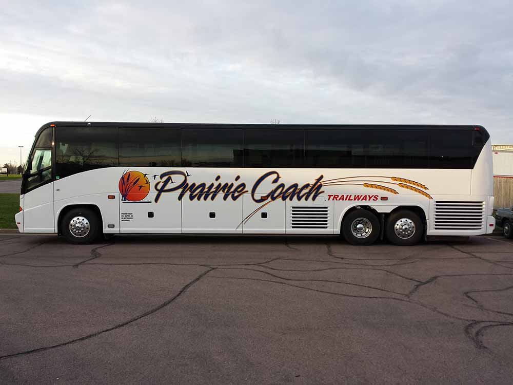 bus decals
