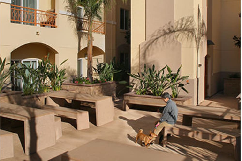 Picnic area