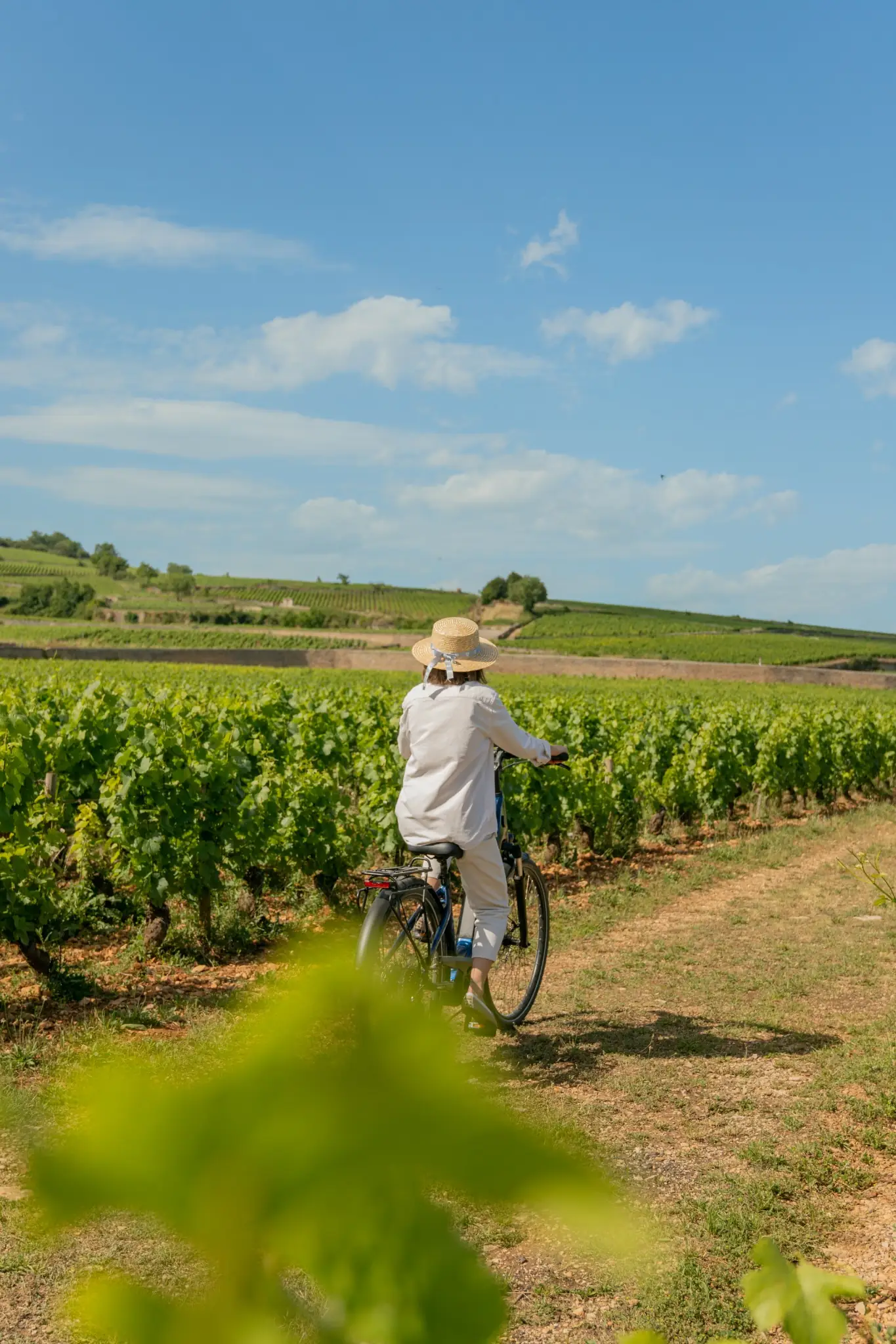 Balade à vélo