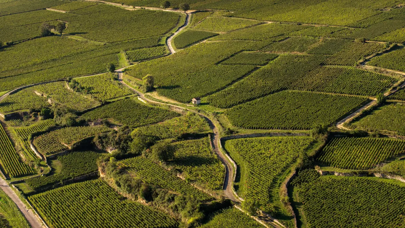 Balade à vélo
