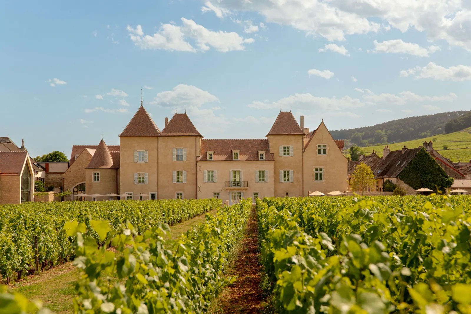 Summer view of Château la Commaraine, a 5-star hotel in Pommard near Beaune