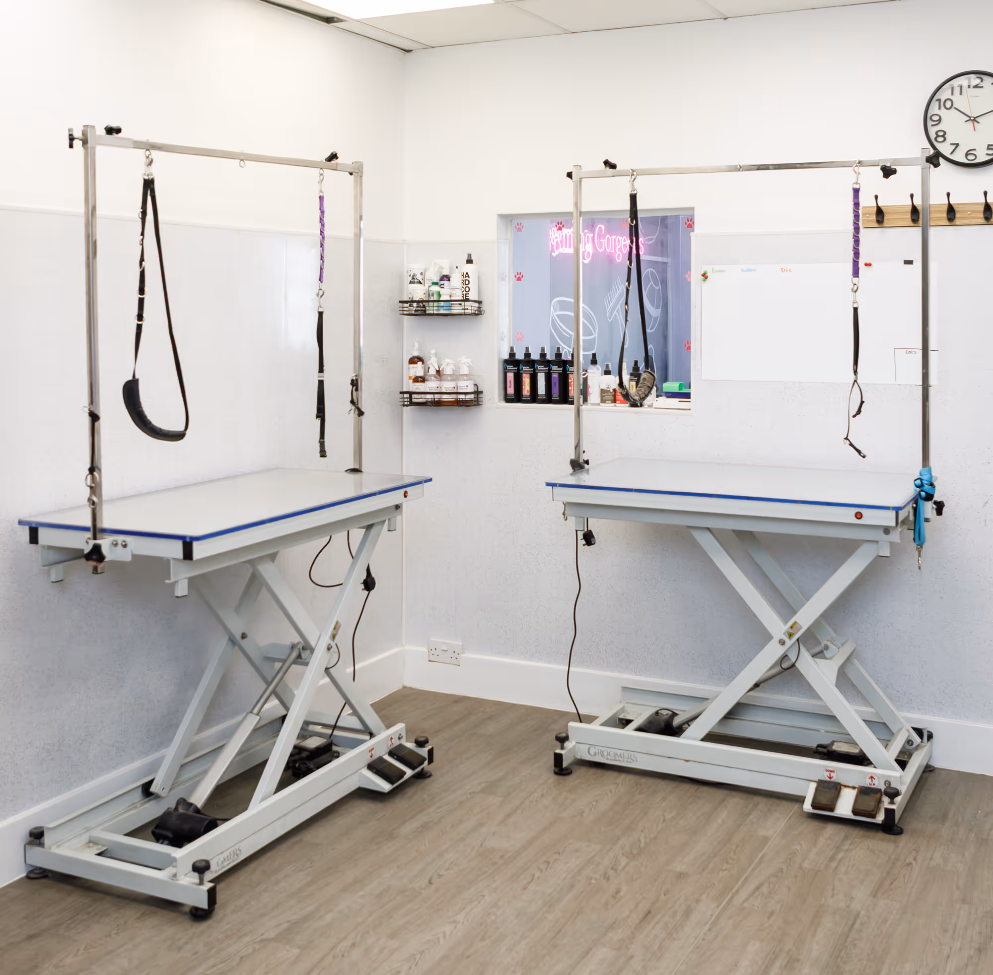 Professional hydraulic grooming tables in the bright Grooming Gorgeous salon