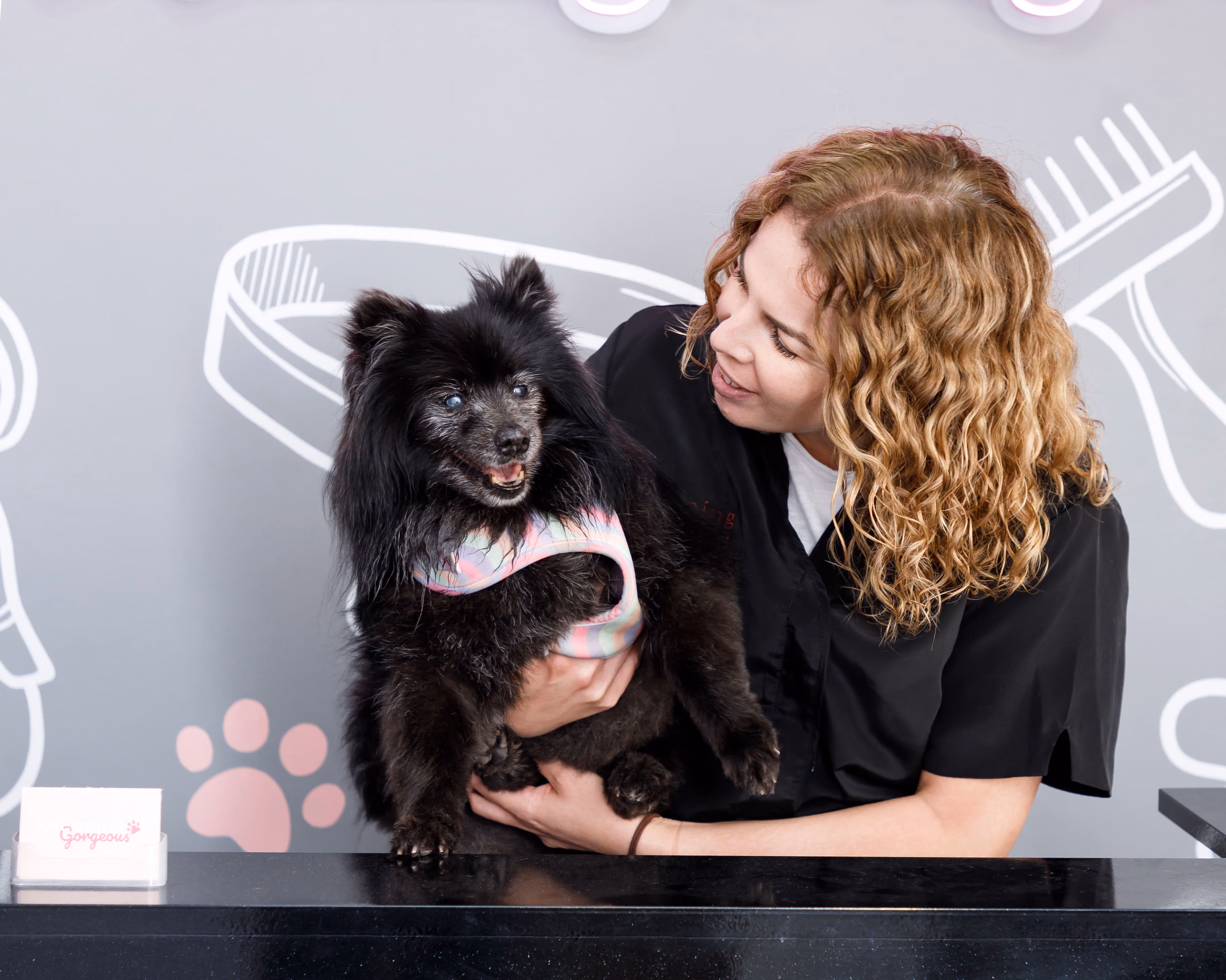 Woman with curly hair holding a black dog wearing a pastel harness at a grooming salon.