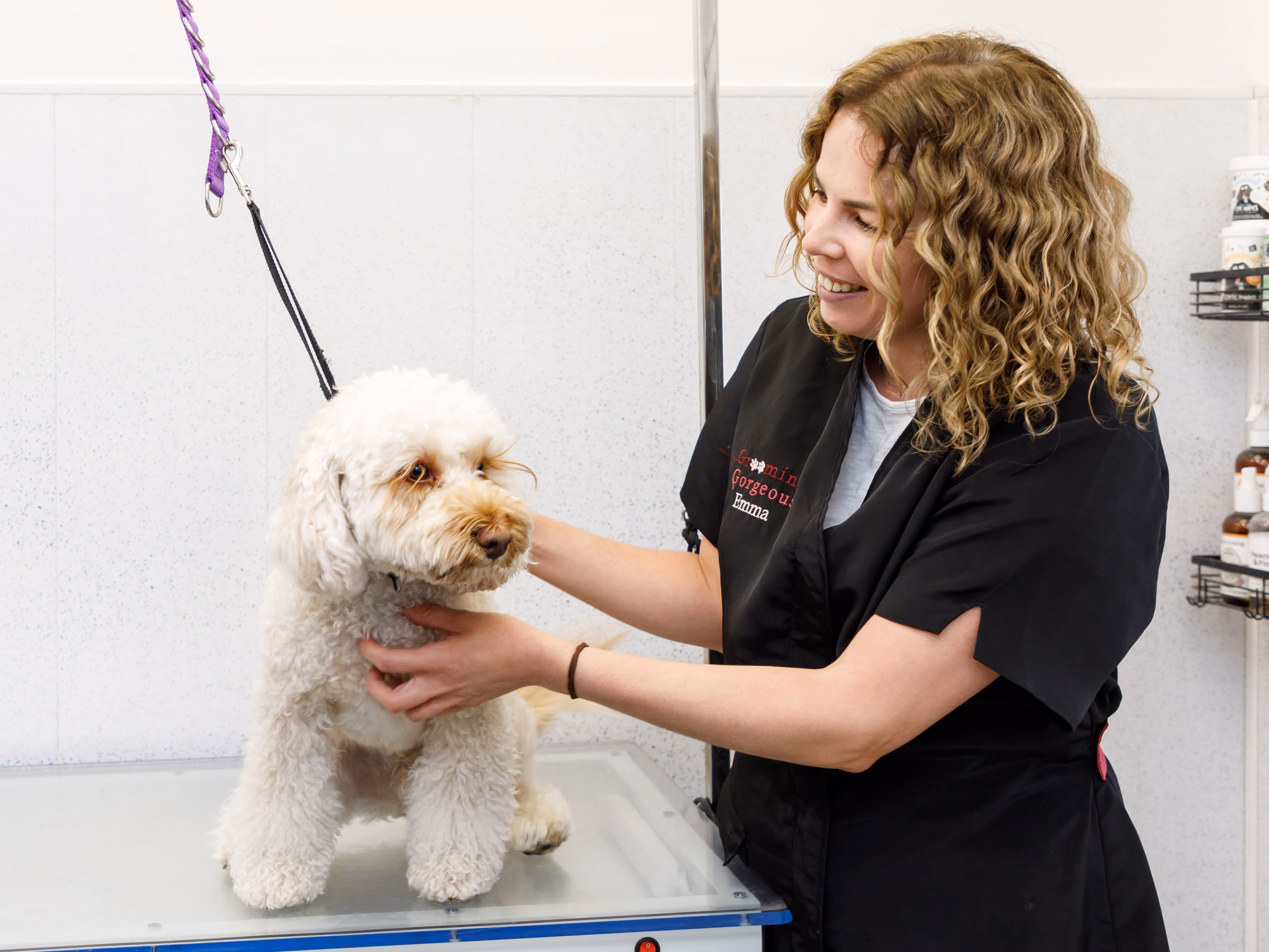 Curly-haired dog on grooming table being gently held by a smiling groomer in black apron.