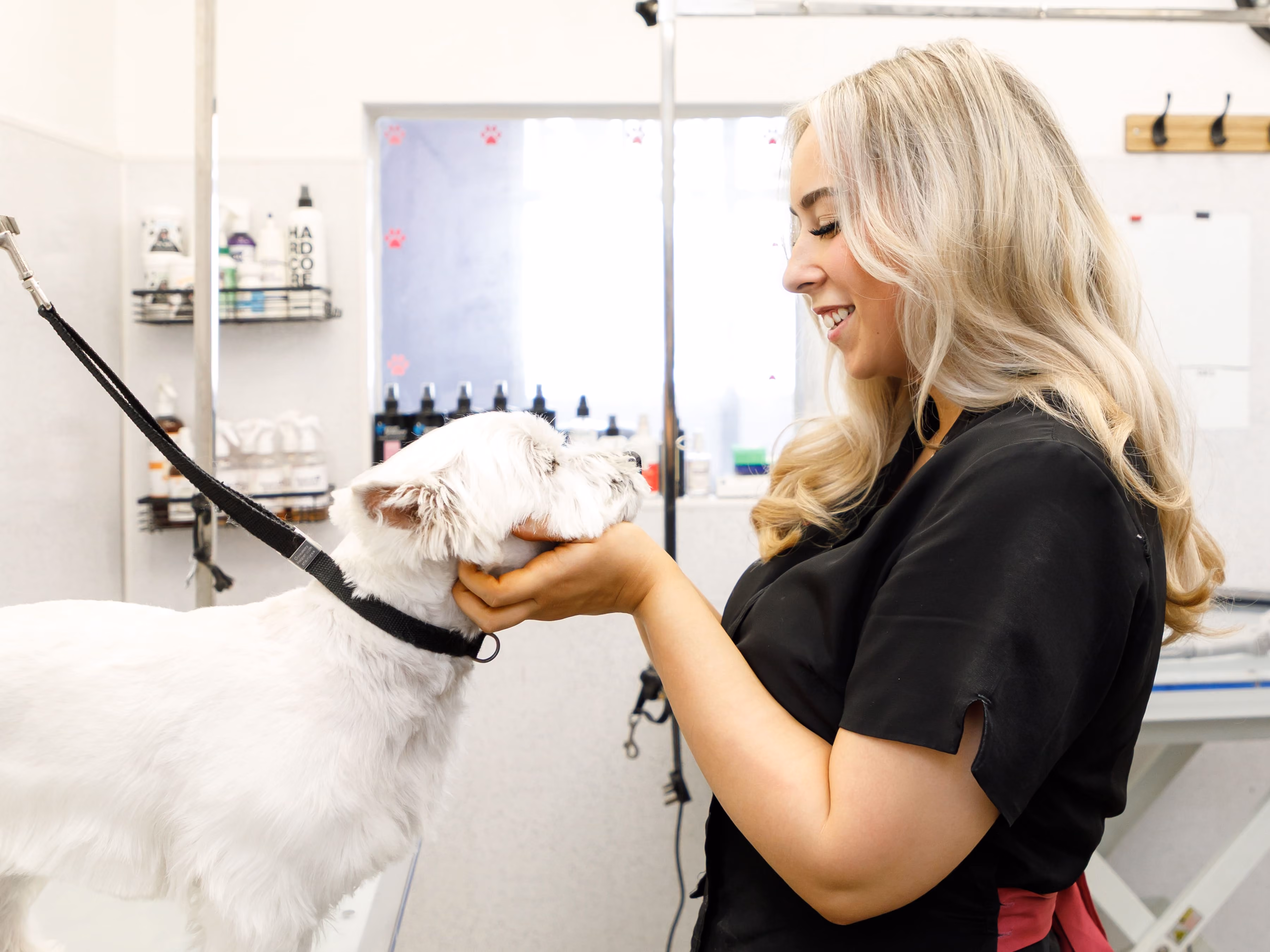 Smiling groomer gently holding a small white dog’s head in a grooming salon.