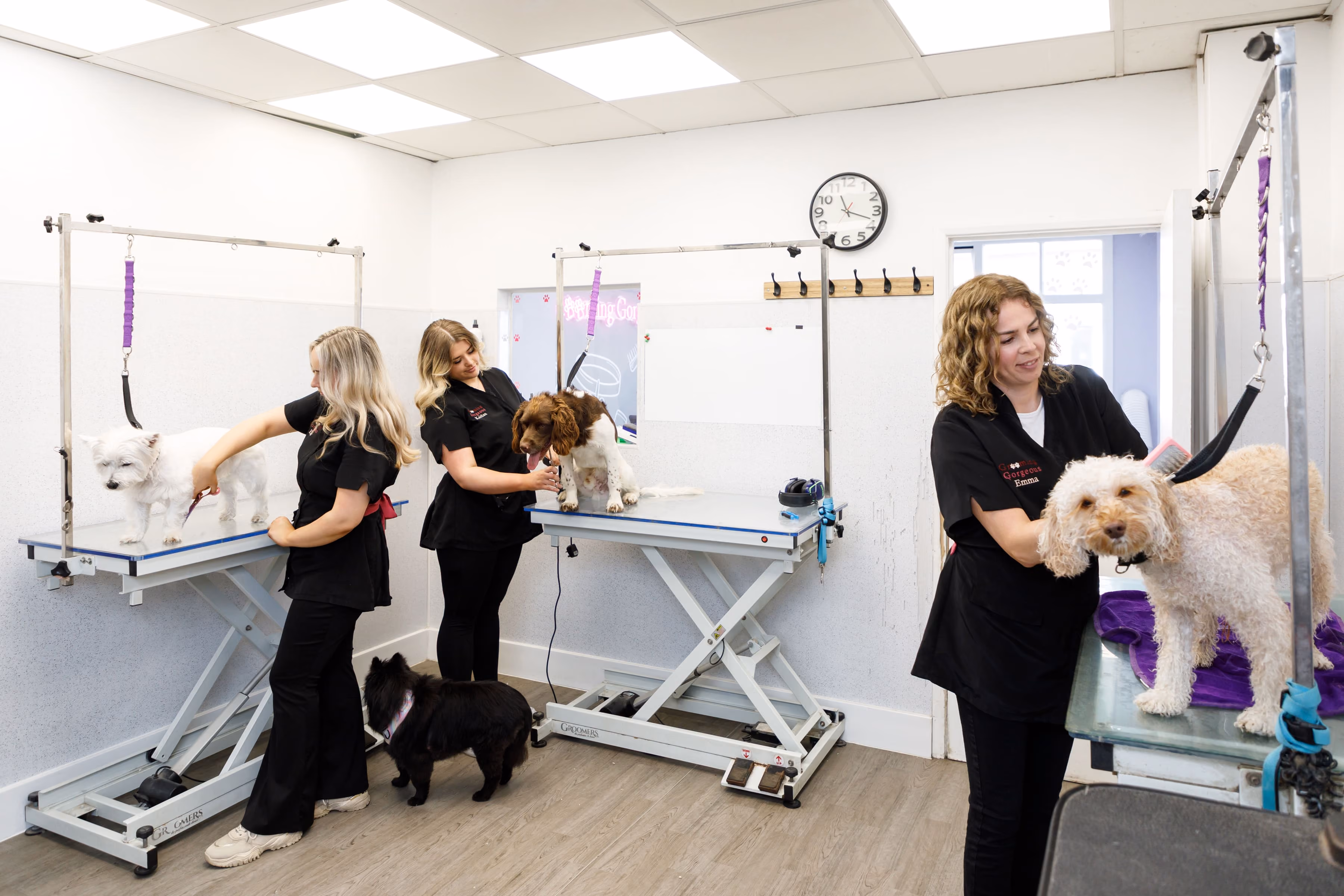 Three groomers trimming and brushing different dogs on grooming tables in a bright salon.