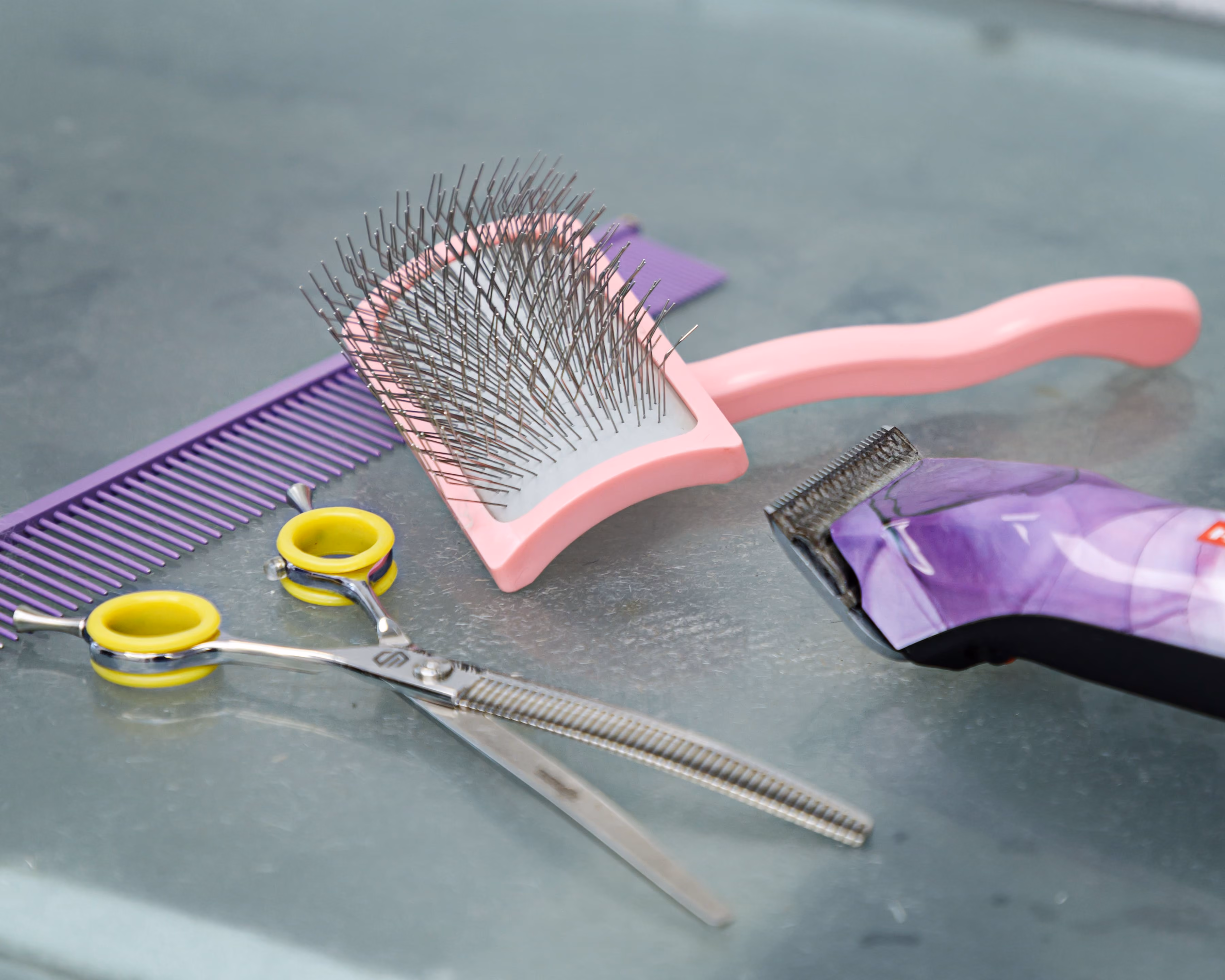 Dog grooming tools including a purple comb, pink slicker brush, thinning scissors, and purple clipper.