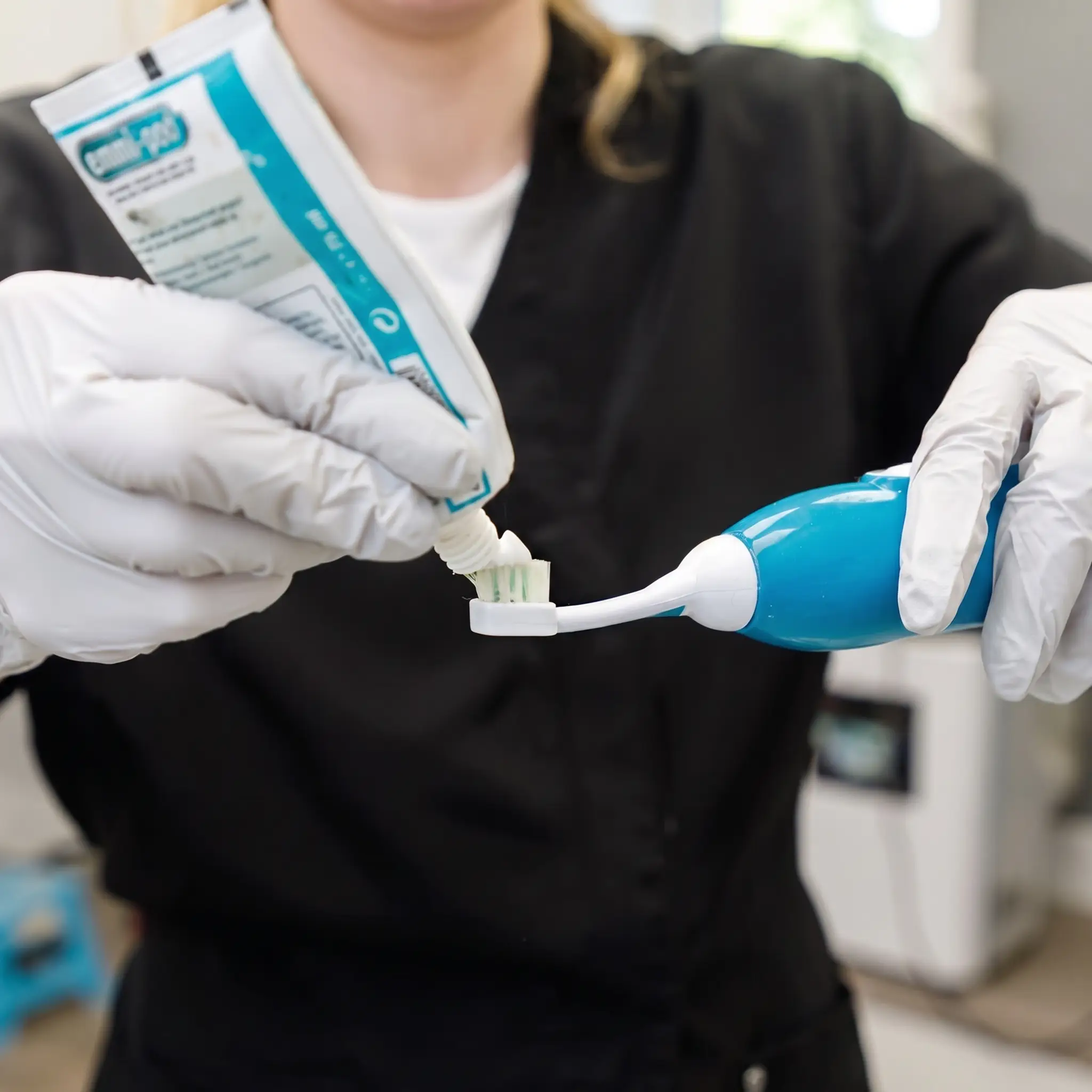Pet-safe toothpaste applied to an ultrasonic toothbrush before treatment