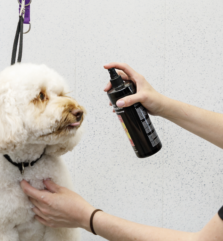 Soothing pet facial at the Grooming Gorgeous spa