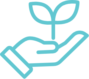Open hand holding a young sprouting plant, symbolising growth, sustainability and care.