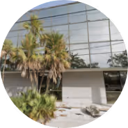 Circular image of a building, with lush palm trees in the foreground creating a tropical feel.