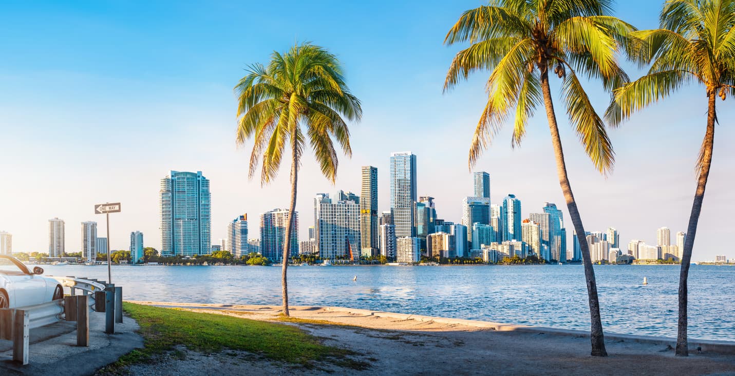 A car parked by the water, surrounded by palm trees, creating a serene tropical scene.
