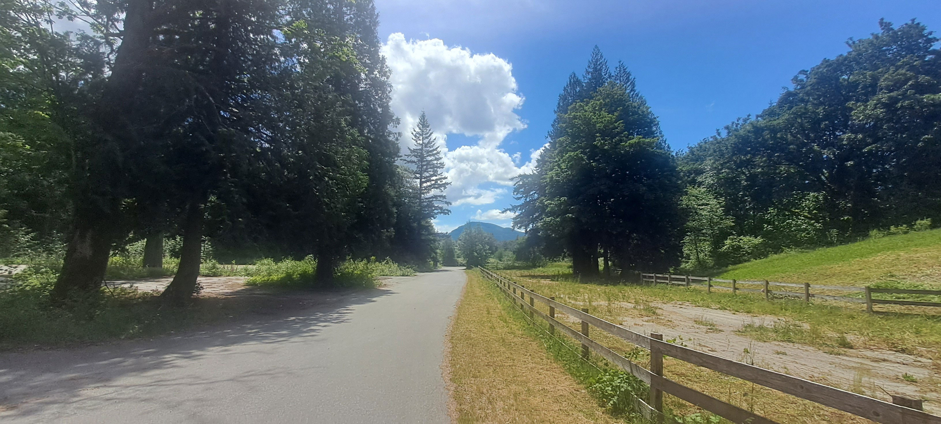 A forest road near Little Flower Monastery, British Columbia