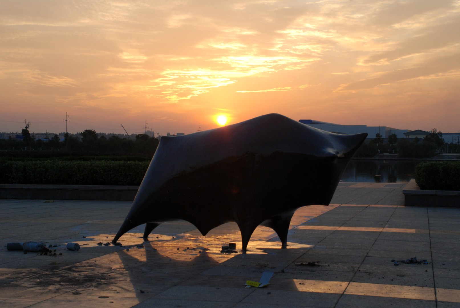 Bull silhouetted against the evening sky.