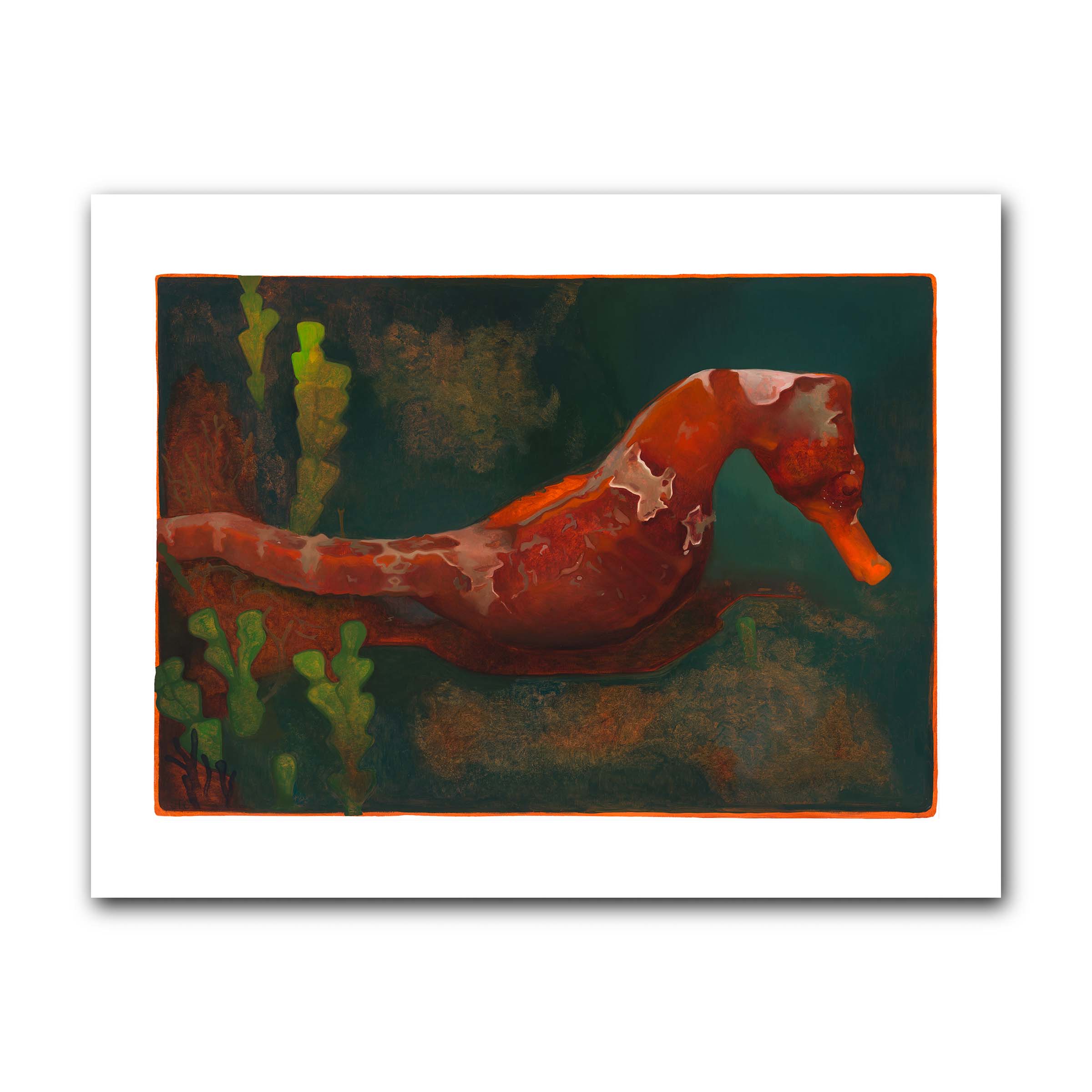 Hippocampus Kuda