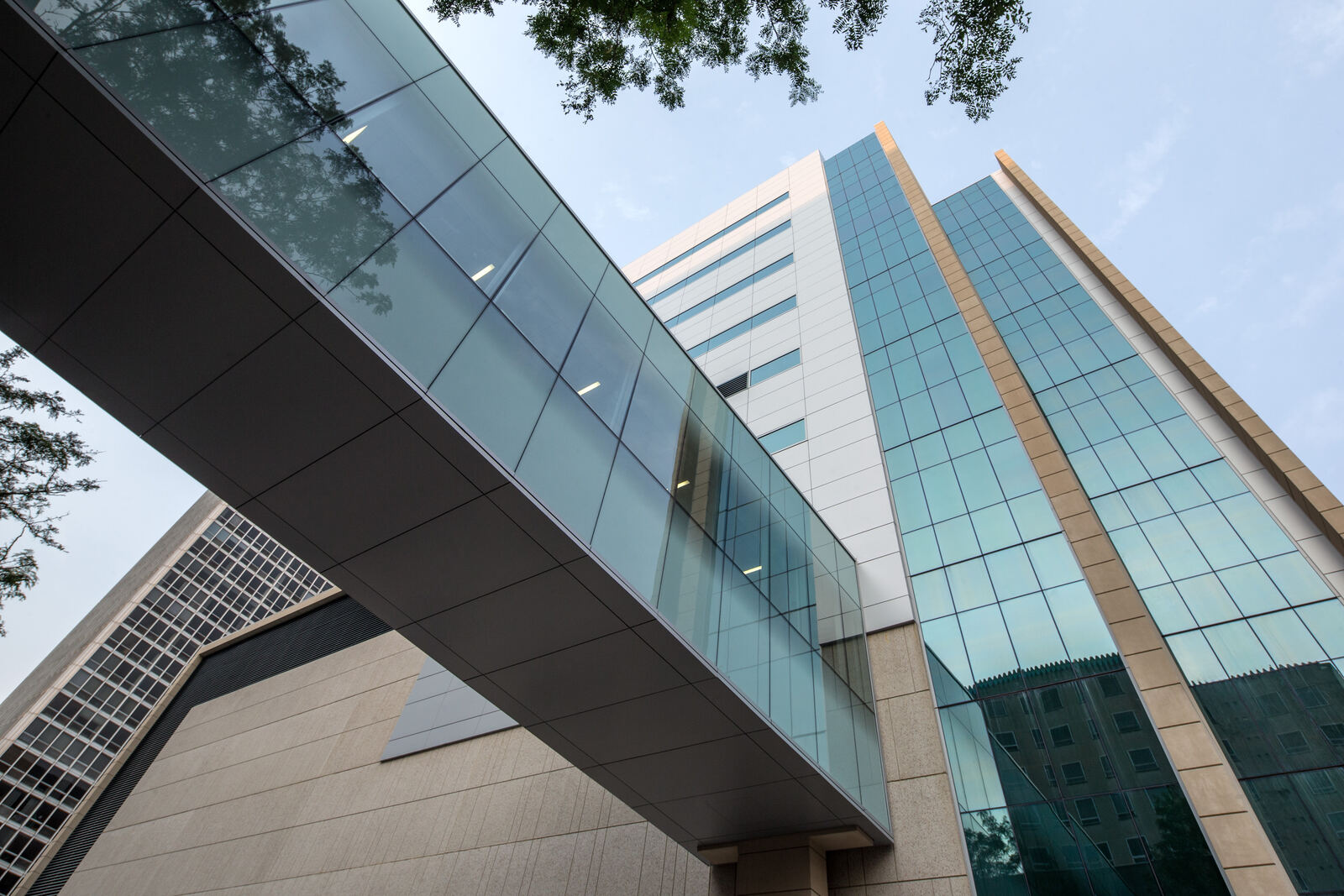 Modern glass-covered skyscraper with a skywalk connecting two buildings.