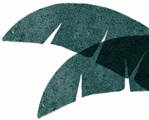 Abstract dark green palm leaves with cut-out slits on a white background.