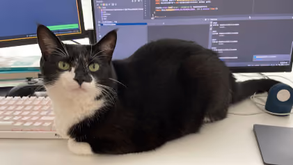 Black and white cat sitting on a desk in front of computer monitors with code displayed.