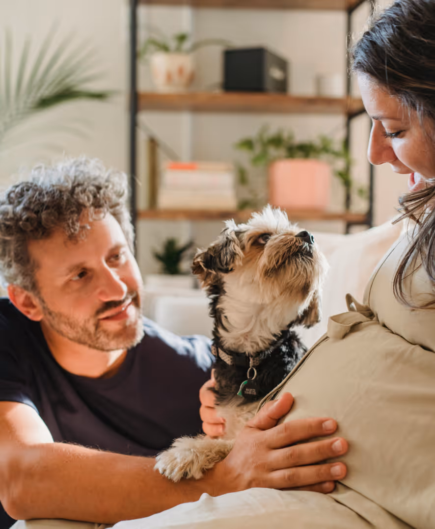 Pregnant woman smiles at small dog while the man gently rests his hand on her belly.