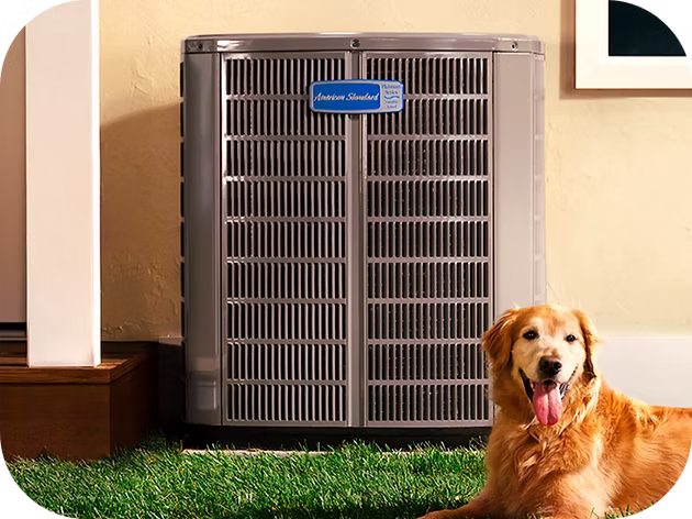 Golden retriever dog lying on green grass next to an American Standard branded air conditioning unit outside a house.