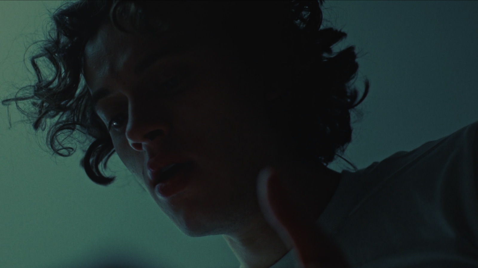 Adam's Apple still 12