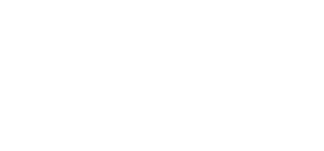 Televerbier