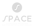 SPACE Icon