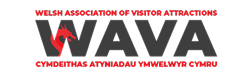 WAVA Logo