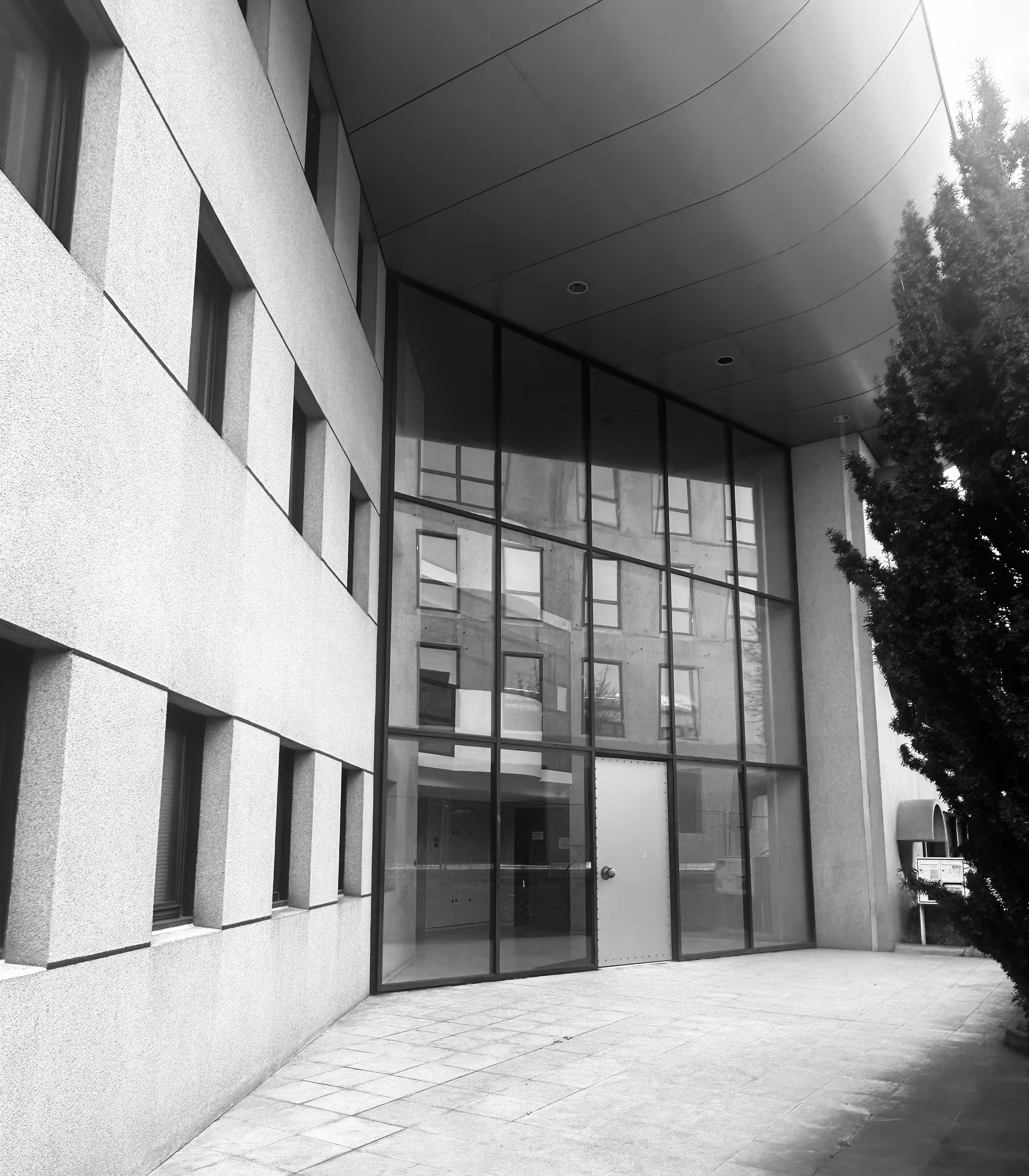 Entrée en verre d'un bâtiment moderne avec reflet d'une autre structure et arbre à droite.