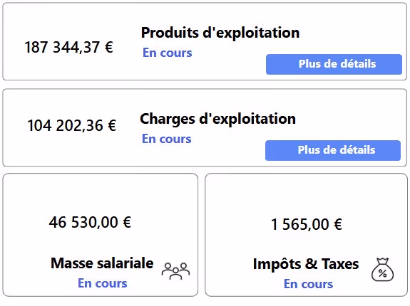 Quatre sections montrant montants en euros, titres Produits d'exploitation, Charges, Masse salariale, Impôts & Taxes.
