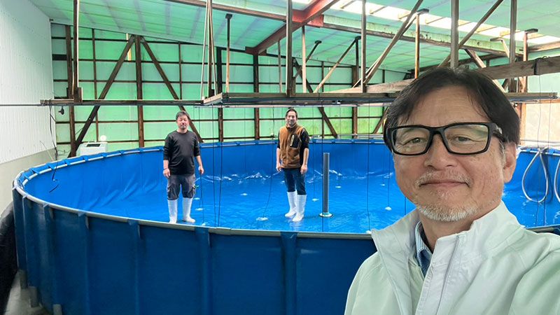 鹿児島県指宿市のシナジーブリーディングでの技術指導