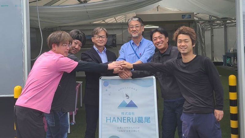 HANERU葛尾でのバナメイエビ収穫の様子