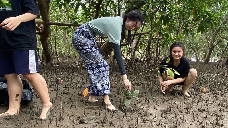タイの中高生によるマングローブ林の植林活動