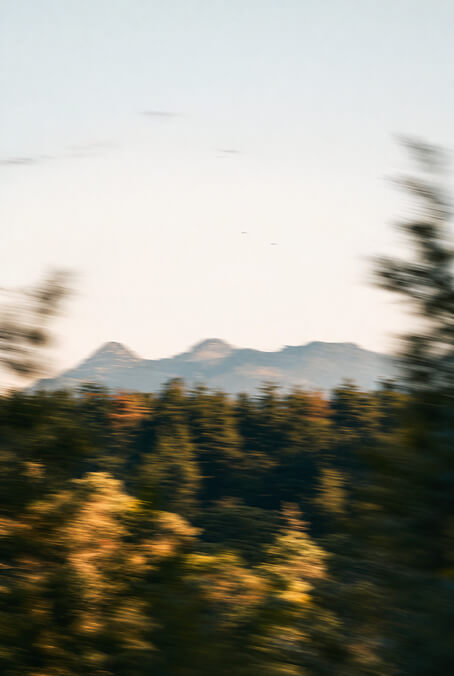 Blurred image of a forest with various green and yellow trees in the foreground and mountains in the background under a pale blue sky.