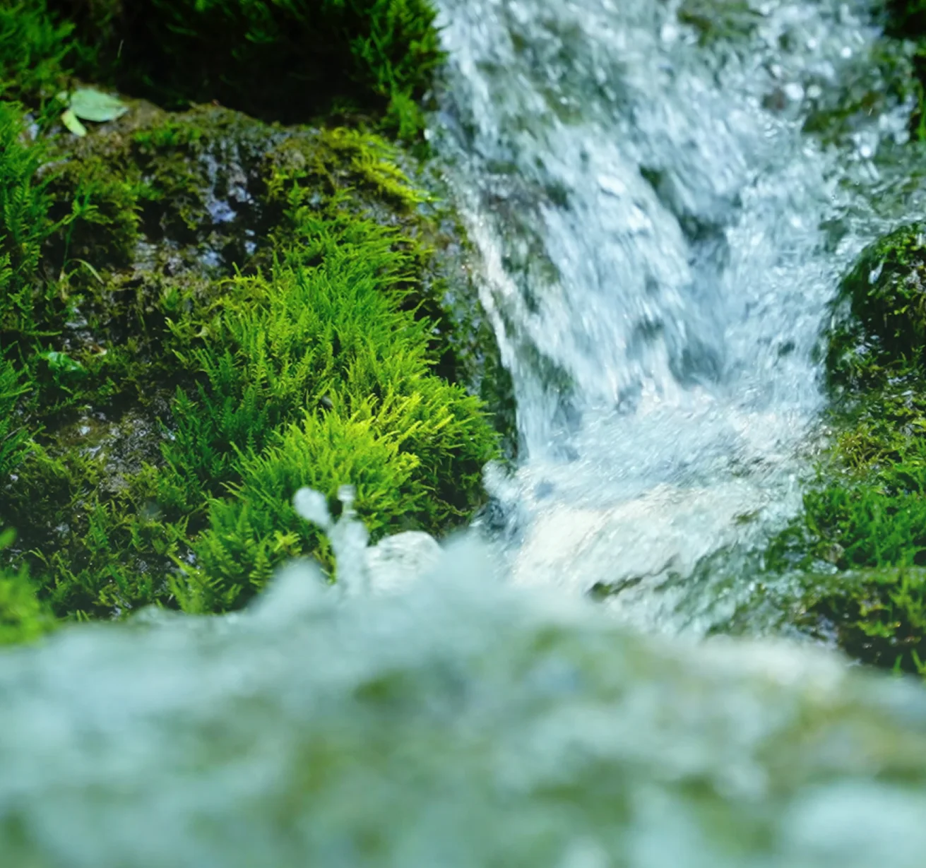 Klares Wasser über grünem Moos
