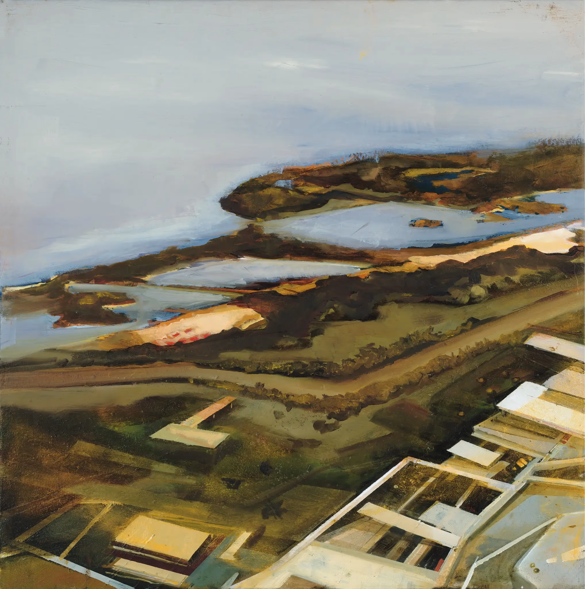 Fátima Pinto, an elevated view of a green coastal estuary with winding water and small modernist houses, oil on canvas, 2004