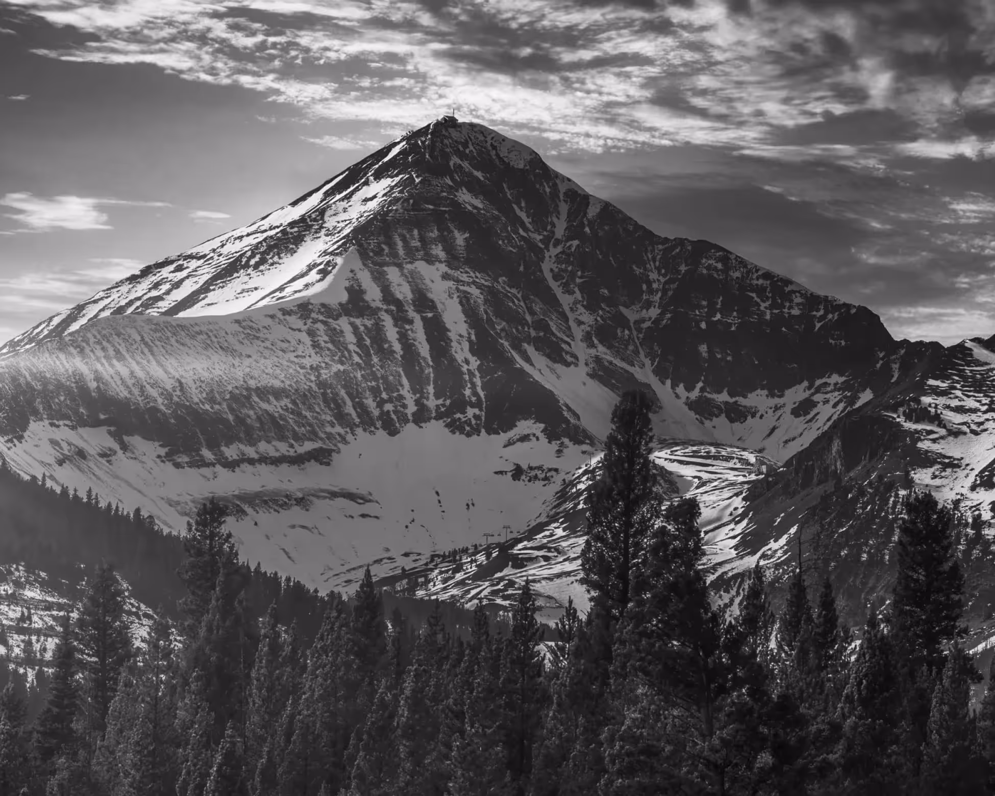 Snow-covered mountain peak rises behind a forest of tall pine trees under a cloudy sky.