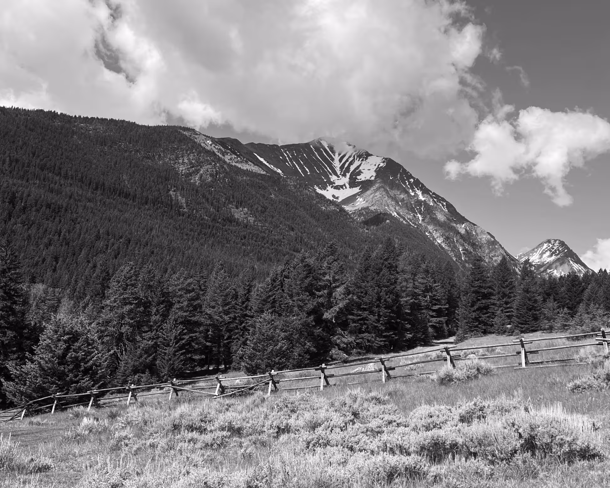 Snow-capped mountain behind dense forest with a wooden fence in grassy foreground under clouds.