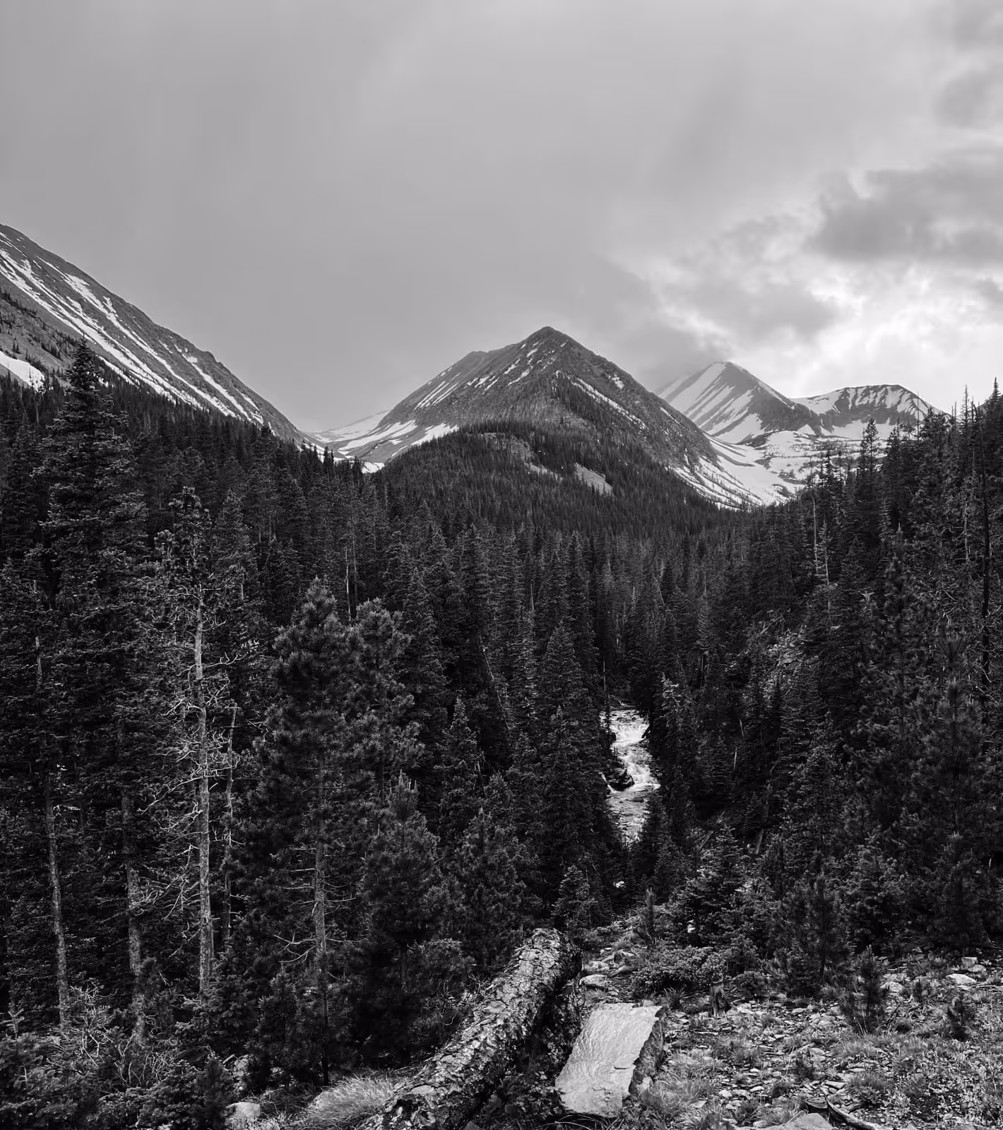 Black and white view of forested mountains with snow patches and a cloudy sky.