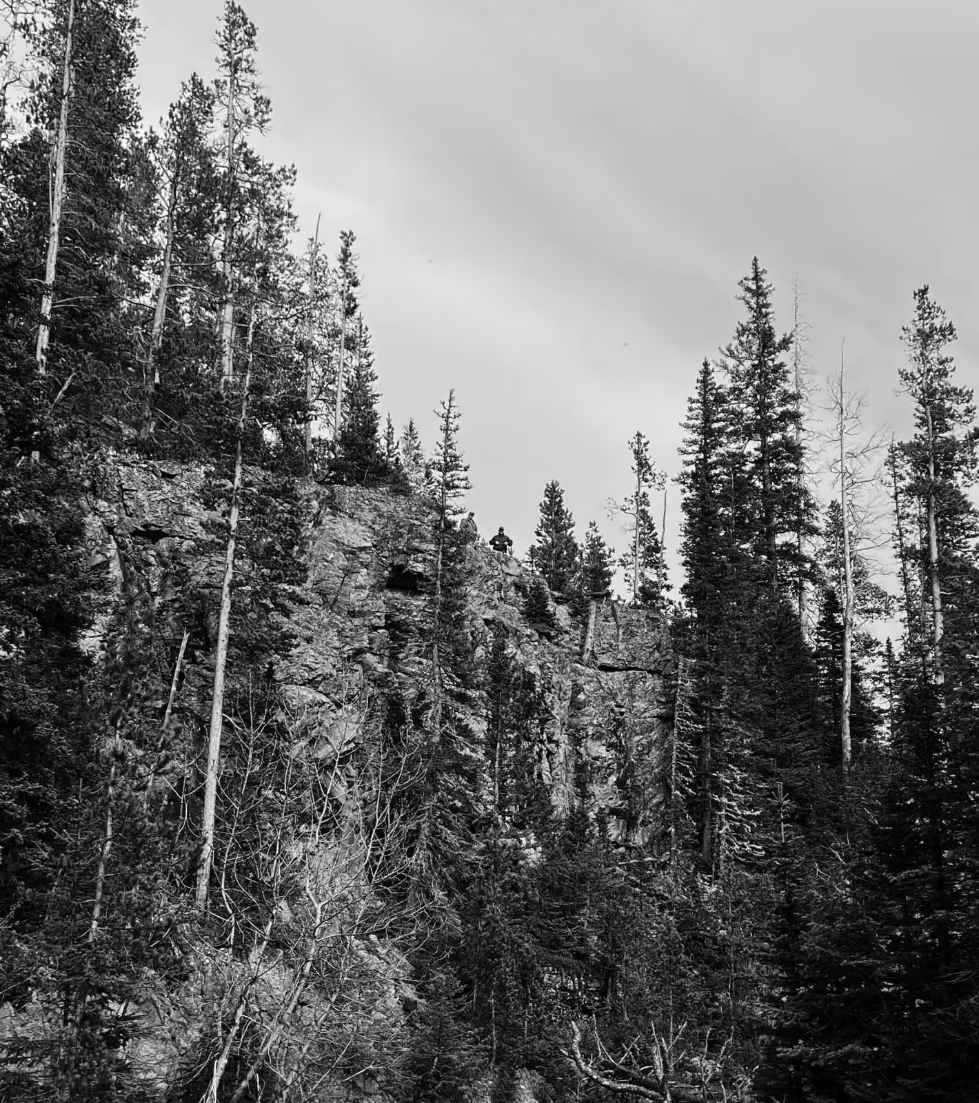 Two hikers stand on a rocky cliff surrounded by tall pine trees under a gray sky.