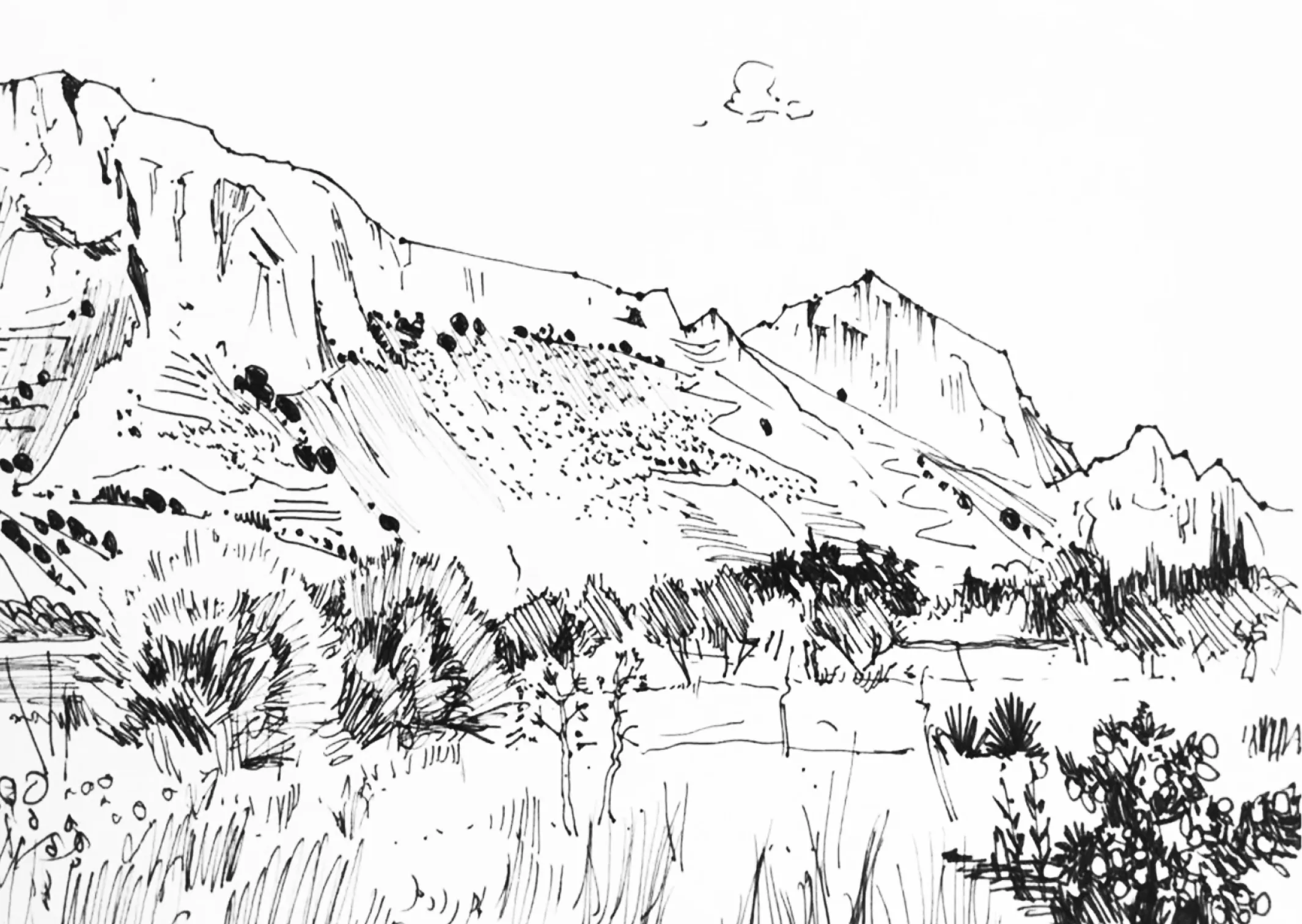 Black and white sketch of a mountain range with scattered trees and bushes in the foreground.
