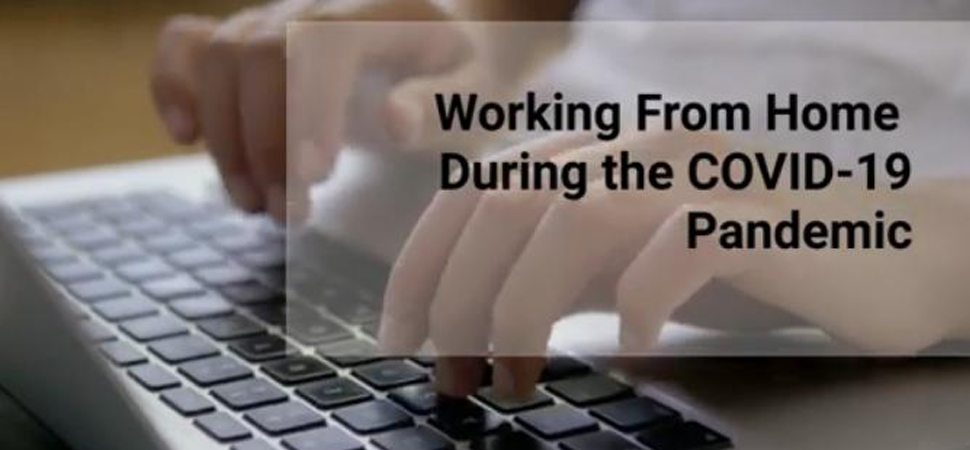 Professional working remotely from a home office