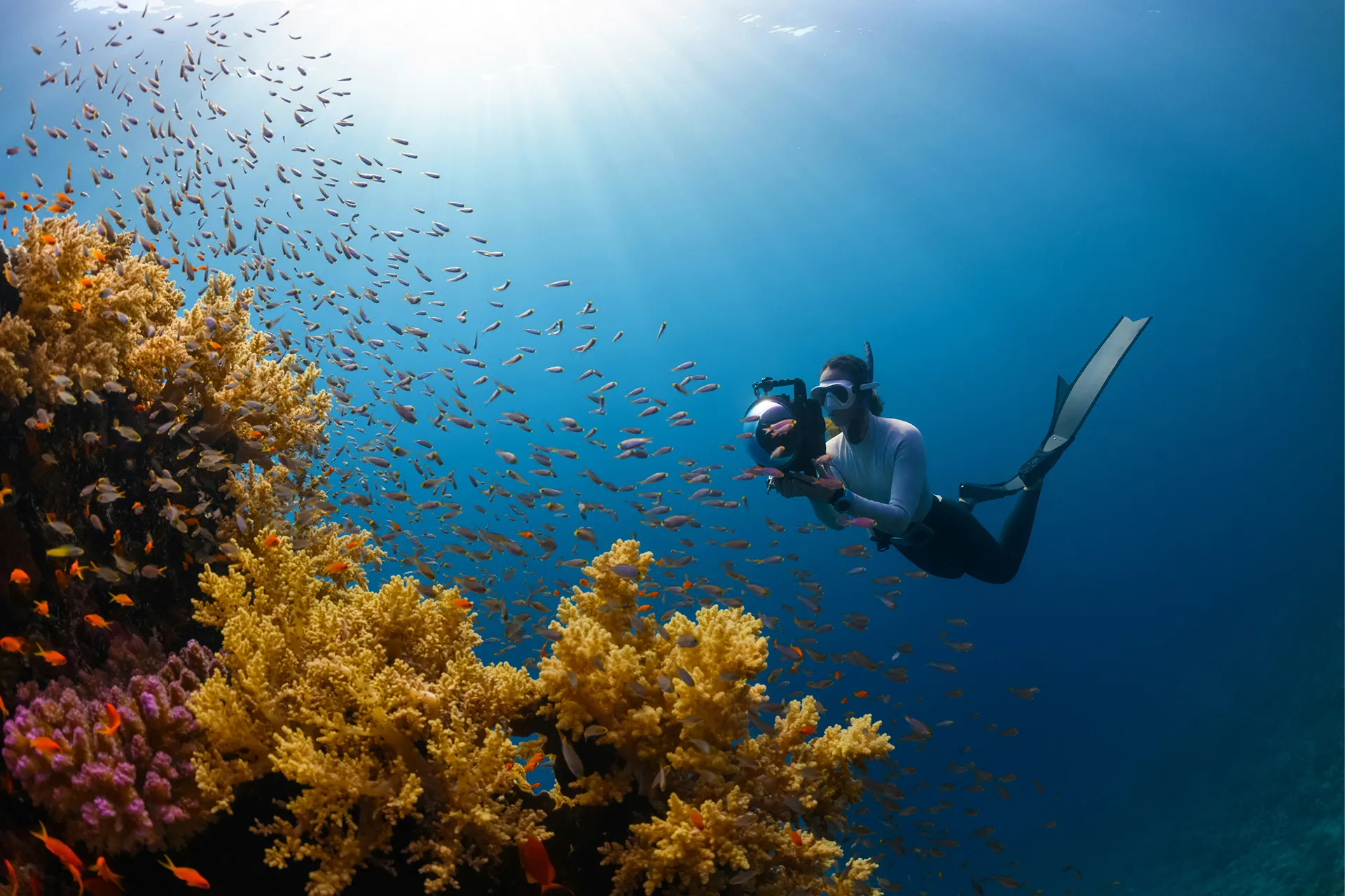 underwater scuba diver
