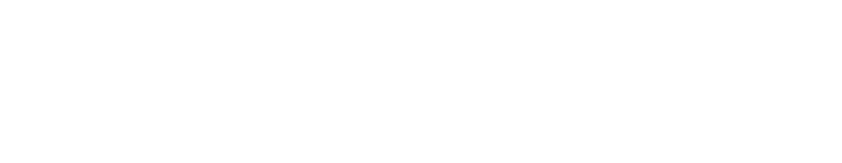 Defender