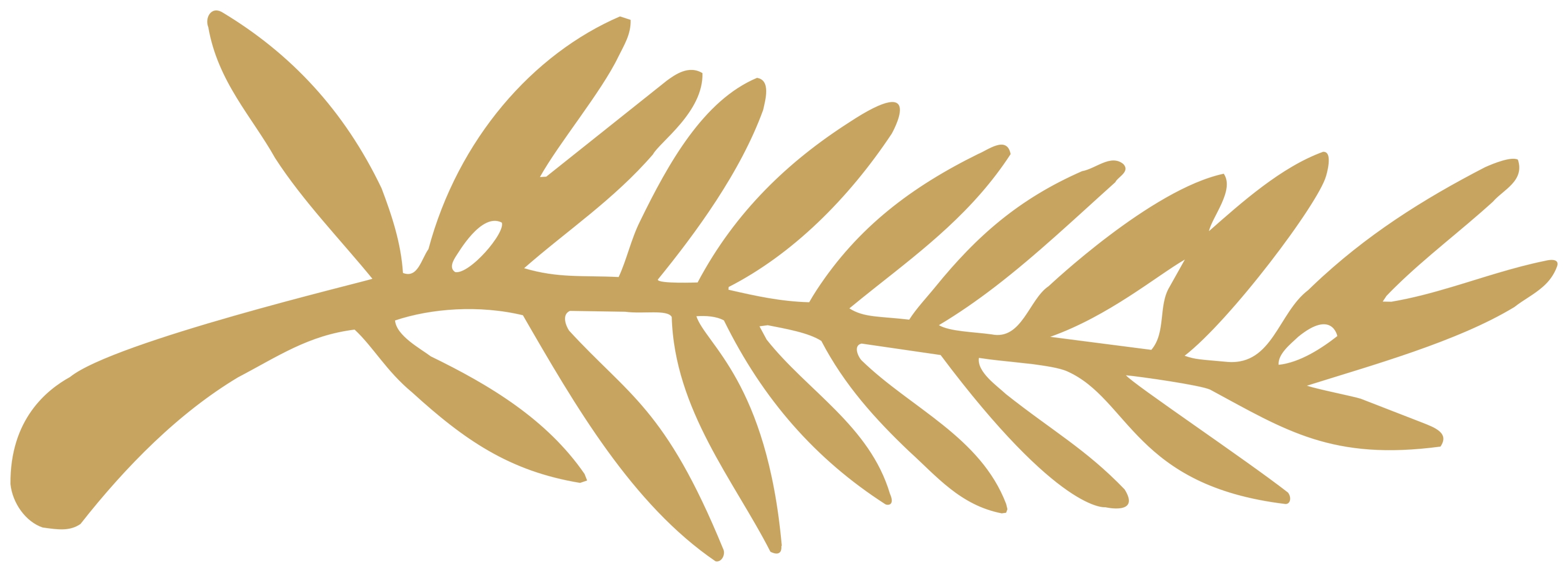 La Palme d'Or de Cannes