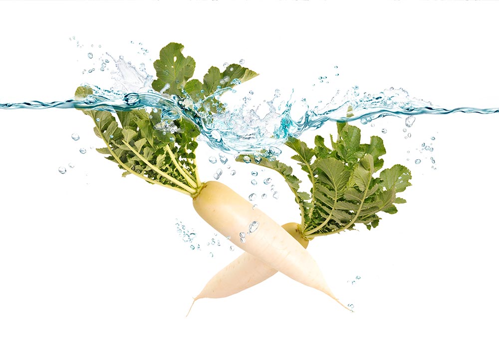 Vegetable process water in the agrifood industry
