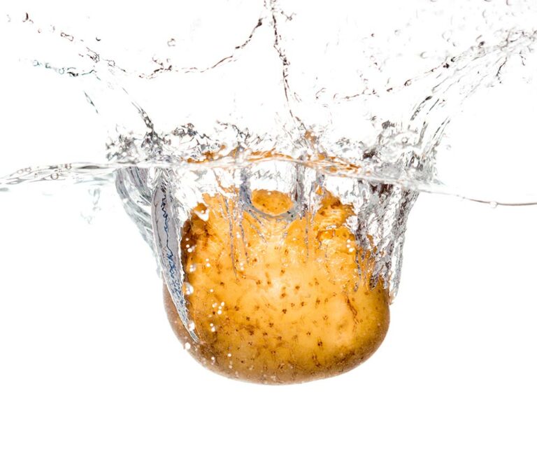 Agrifood: Boost the Efficiency of your Process Water Treatment