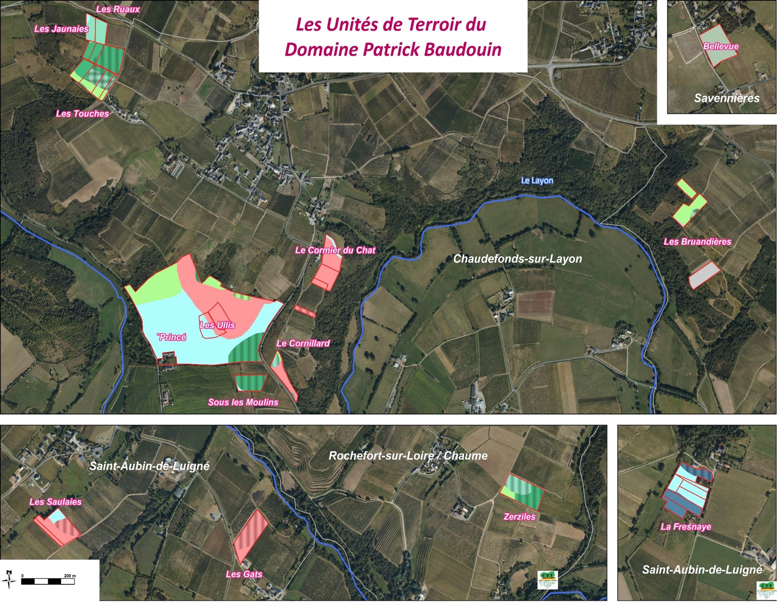 Carte aérienne des parcelles du Domaine Patrick Baudouin avec zones en couleurs nommées et villages alentours.